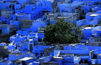 Jodhpur la ville bleue. Inde by Leroyphoto