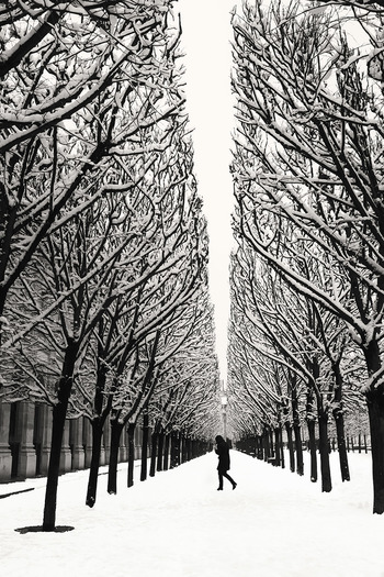 Snow in paris von Hélène Vallas