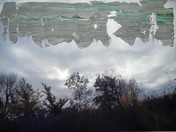 OPP 3 ( Stormy Clouds and Trees) by Niki Hare