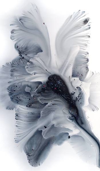 Nature 311 par Muriel Napoli