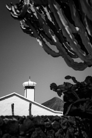 LANZA 50 /1 by Stanislas Ledoux