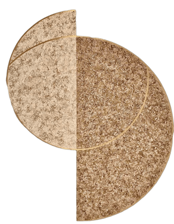 MURIA par Antonin Lamoot