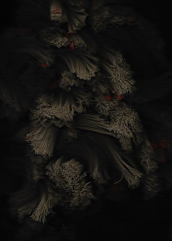 Archaïque (4) PH by V.Bécourt