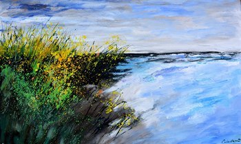 Seashore with wild flowers  by Pol Ledent