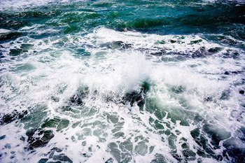 White Splash von Tal Paz-Fridman