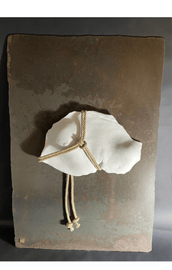 Shibari 3 von Olivier Layus