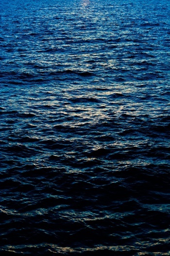 Arbel II par Tal Paz-Fridman