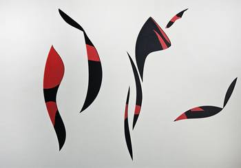 PIPAV  par Stefano Mazzolini