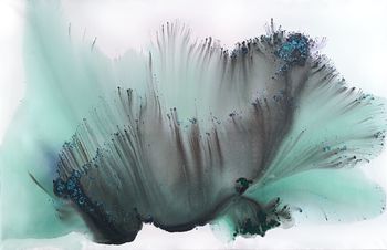 Nature 381 von Muriel Napoli