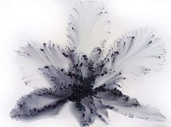 Nature 316 von Muriel Napoli