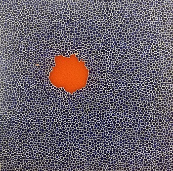 2023/31- Lueurs (10) von Guillaume Thunis