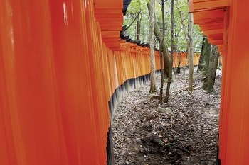 Fushimi Inari by Lise Hébuterne