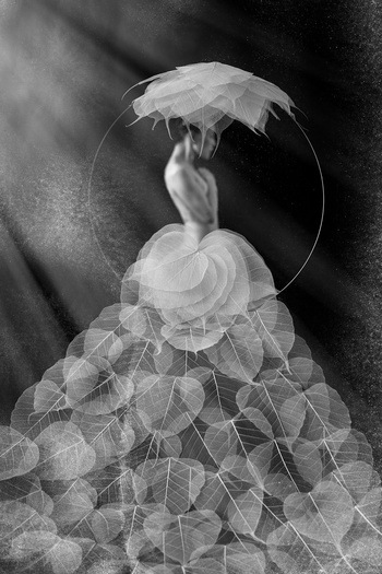 A Journey to Awakening #1 by Xidong Luo