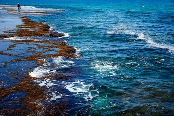 Sdot Yam beach #5 par Tal Paz-Fridman