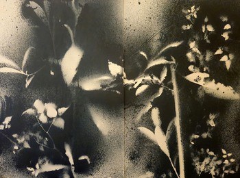 RF1413 von Stefano Mazzolini