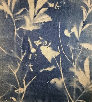 RF37  par Stefano Mazzolini