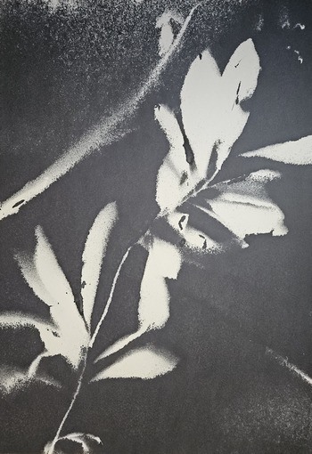 RF35  par Stefano Mazzolini