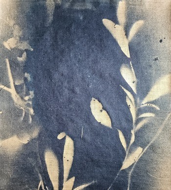 RF40  von Stefano Mazzolini