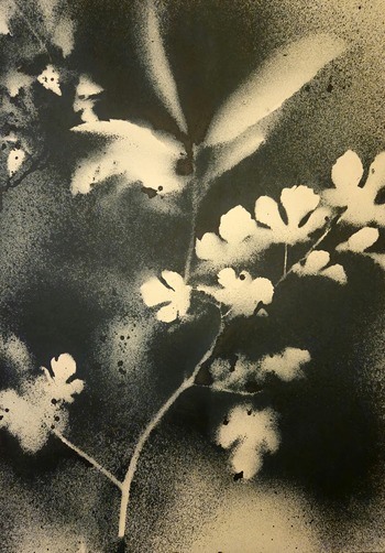 RF16  par Stefano Mazzolini