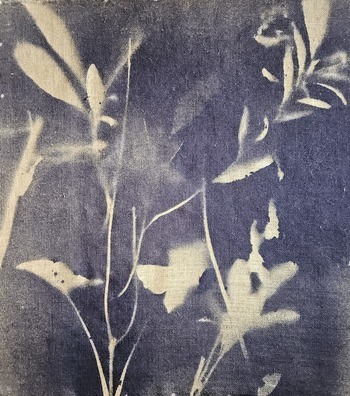 RF39  par Stefano Mazzolini