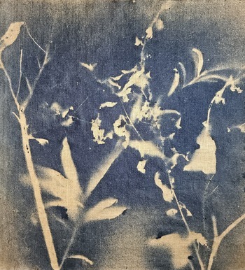 RF38  von Stefano Mazzolini