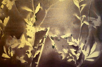 RF20  par Stefano Mazzolini