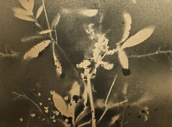 RF27  by Stefano Mazzolini