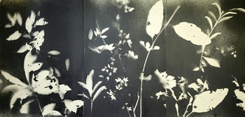 RF212223  von Stefano Mazzolini