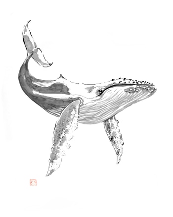 whale von Péchane