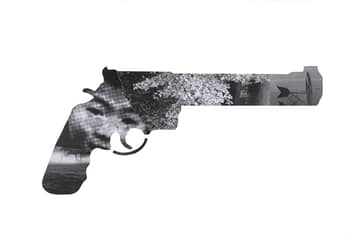 Vies en vue - moyen - 4 par LN Le Cheviller