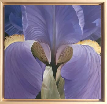 Iris 05 von Odile Faure