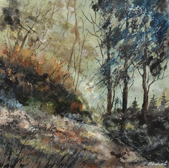November in the wood  by Pol Ledent