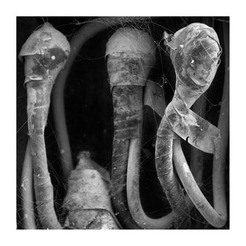 ¡Peligro! 11. Limited Edition 2 of 5 by Ian Hoskin