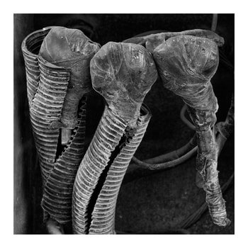 ¡Peligro! 4. Limited Edition 2 of 5 by Ian Hoskin