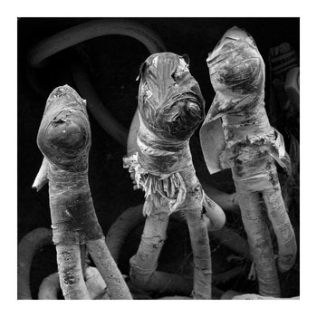 ¡Peligro! 1. Limited Edition 2 of 5. by Ian Hoskin