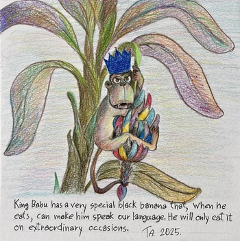 Babu King of the baboons  by Ta Byrne