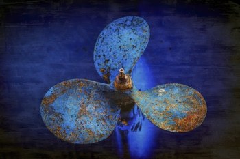 BLUE AND GOLD FLOWER by HOLLY WATT