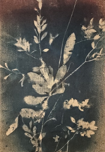 RF6364 Double-Sided  by Stefano Mazzolini