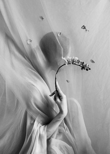 Whispers of Time - No.1 by Xidong Luo