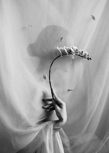 Whispers of Time - No.2 by Xidong Luo