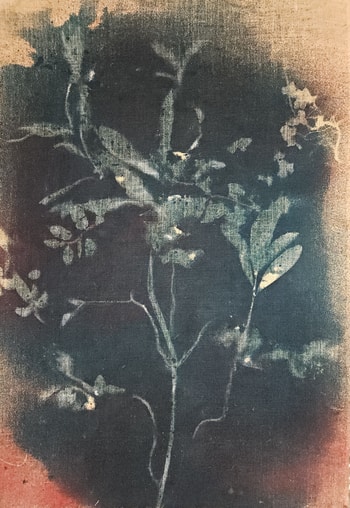 RF6566 Double-Sided von Stefano Mazzolini