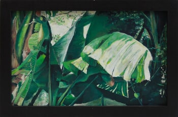 Banana Leaf Forms II von Aidan Myers