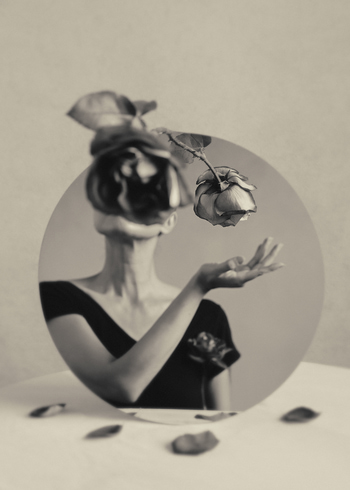 Falling Rose  #2 by Xidong Luo