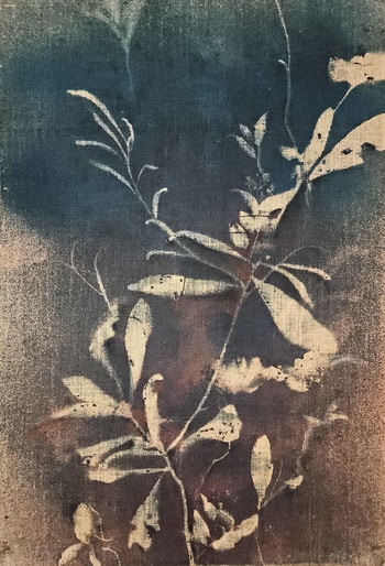 RF6162 Double-Sided  von Stefano Mazzolini