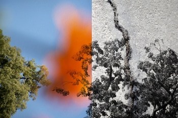 Anna si sveglia IV by Jérôme Pergolesi