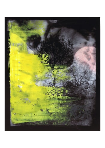 Pink moon von Gina Parr