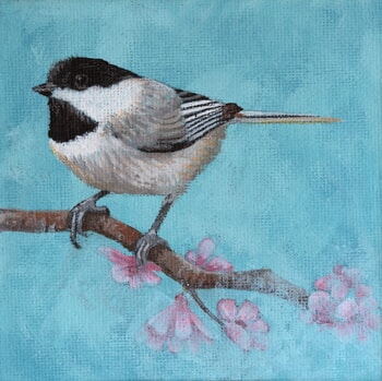 Poelcile atricapillus by Sarah Goldbart