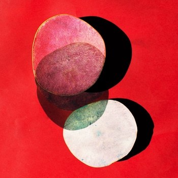 Belchard chantecler -01  par Emilie Moysson