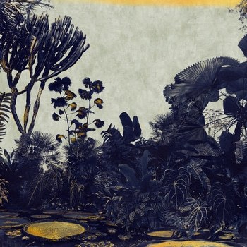 Kew Lagoon by Nadia Attura