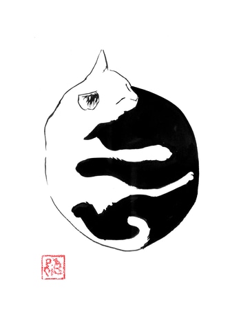 Yinh yang cat von Péchane